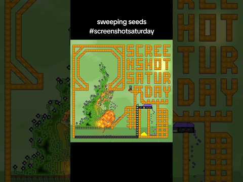 Sweeping up some seeds — Sandustry video